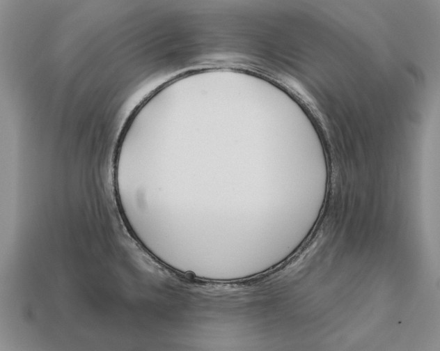 X0000113041336200909241426