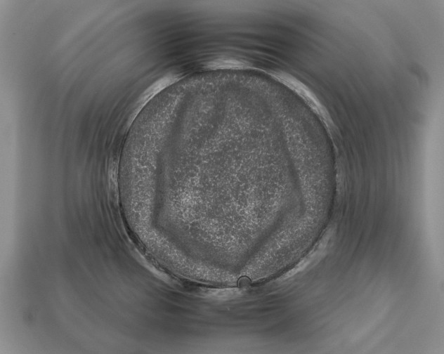 X0000113041337200909241426