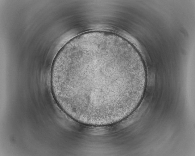 X0000113041338200909241426