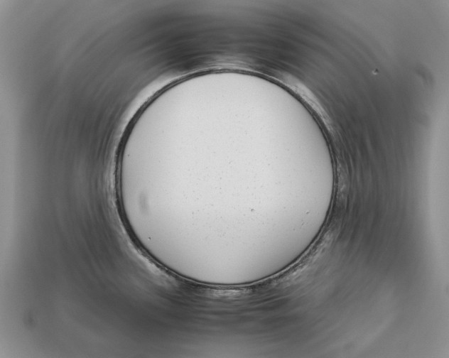 X0000113041339200909241426