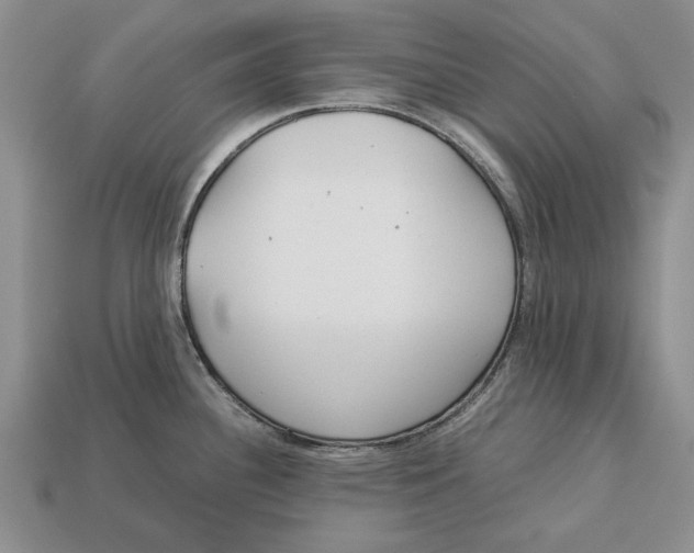 X0000113041340200909241426