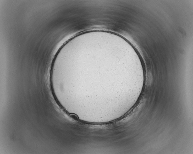 X0000113041341200909241426