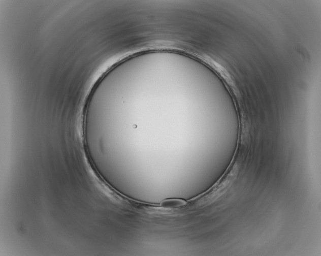 X0000113041342200909241426
