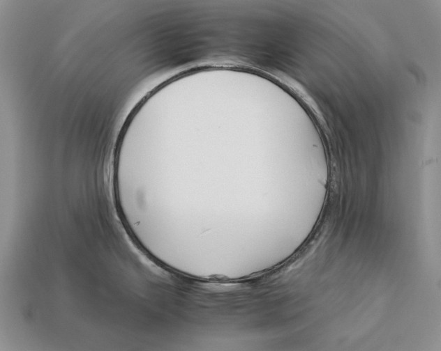 X0000113041343200909241426