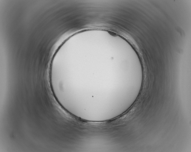 X0000113041344200909241426