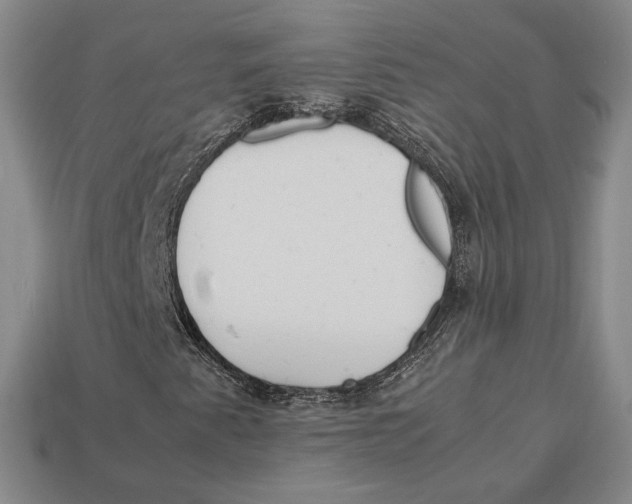 X0000113041345200909241426