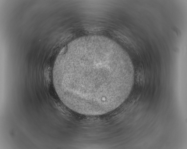 X0000113041346200909241426