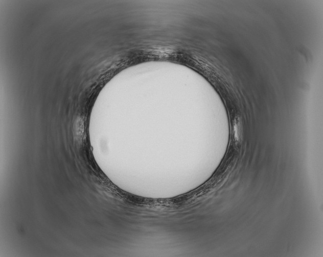 X0000113041347200909241426