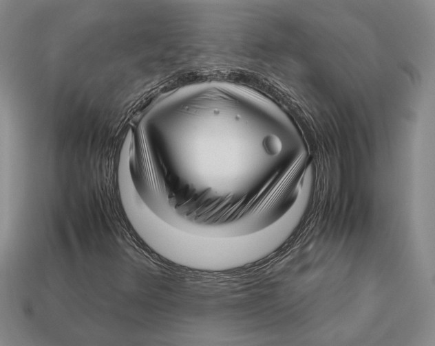 X0000113041348200909241426