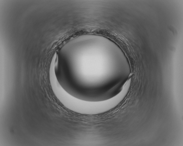 X0000113041349200909241426