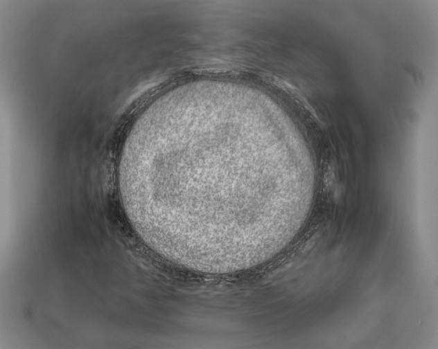 X0000113041350200909241426