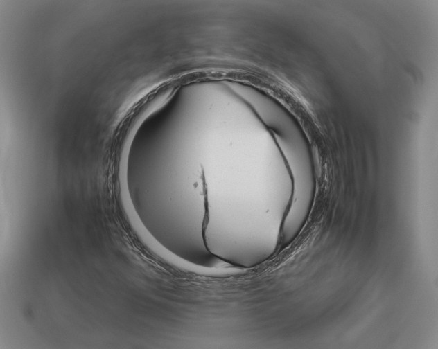 X0000113041352200909241426