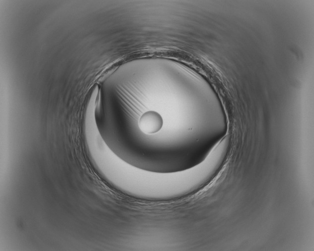 X0000113041353200909241426