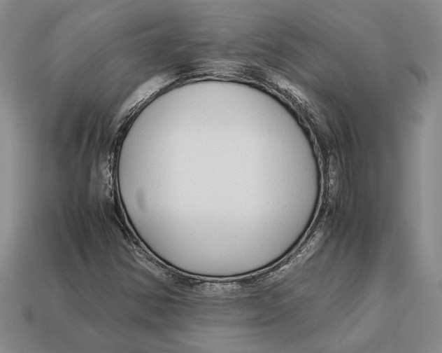 X0000113041354200909241426