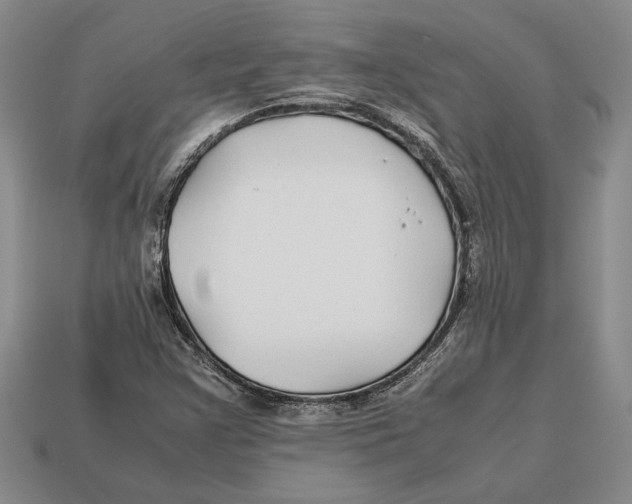 X0000113041355200909241426