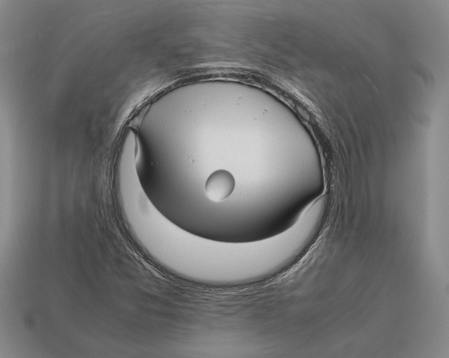 X0000113041357200909241426