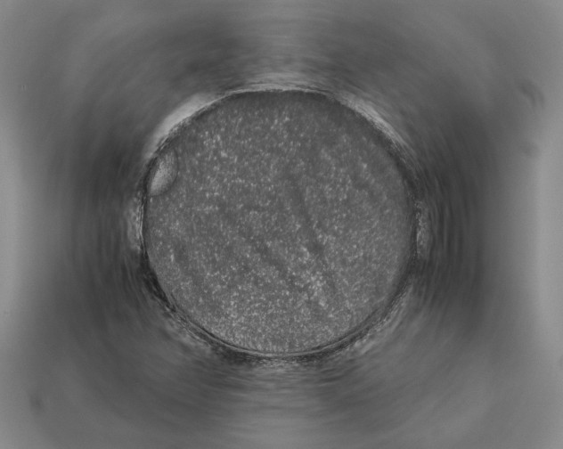 X0000113041358200909241426