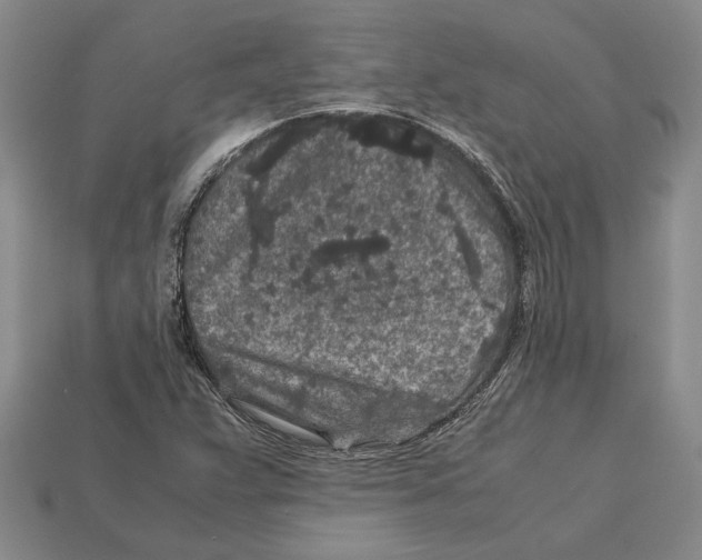 X0000113041359200909241426