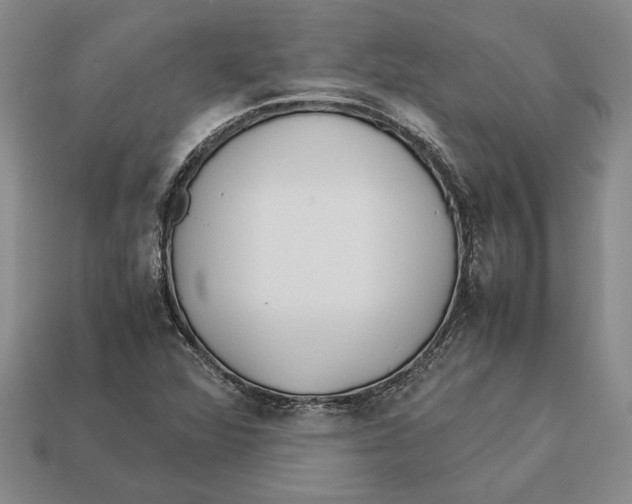X0000113041360200909241426