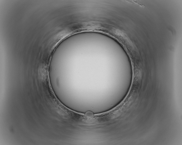 X0000113041361200909241426