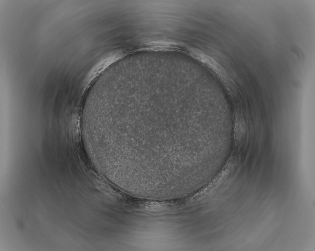X0000113041362200909241426