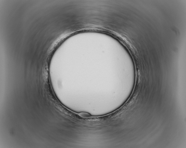 X0000113041363200909241426