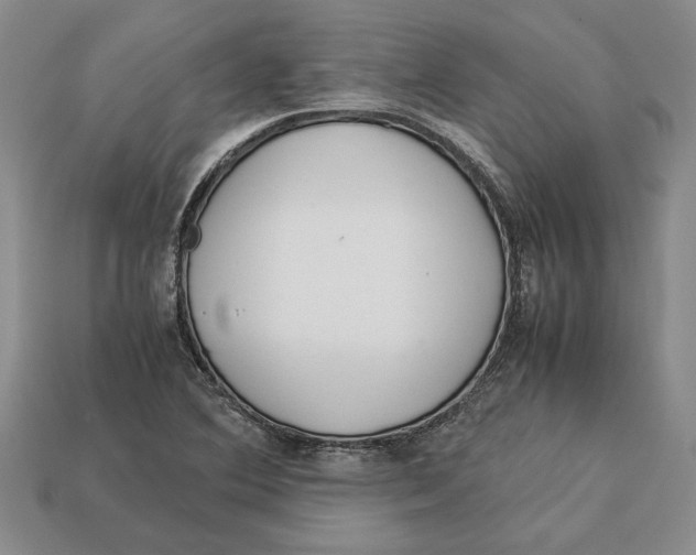 X0000113041364200909241426