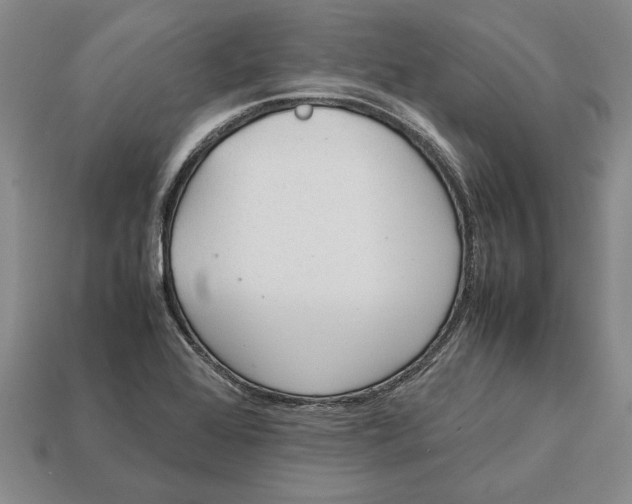 X0000113041368200909241426