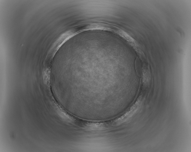 X0000113041369200909241426