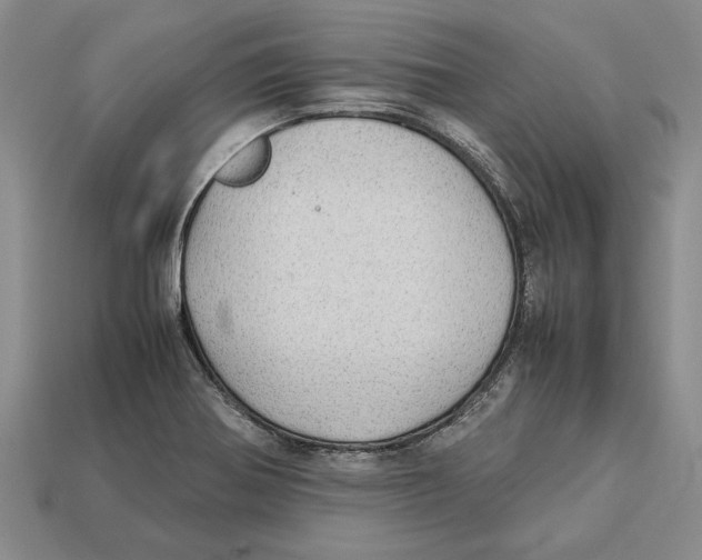 X0000113041370200909241426