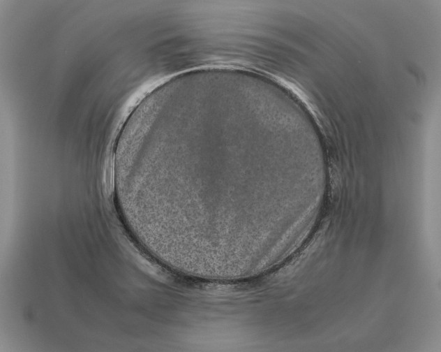 X0000113041371200909241426