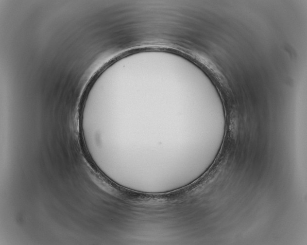 X0000113041372200909241425