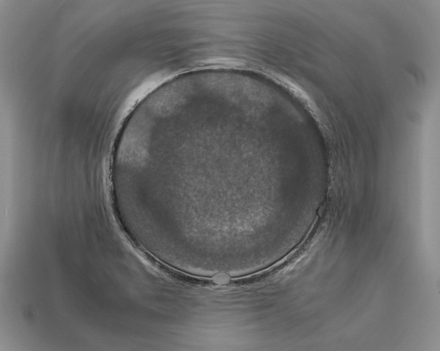 X0000113041373200909241425