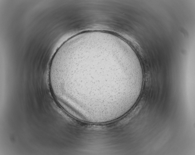 X0000113041374200909241425