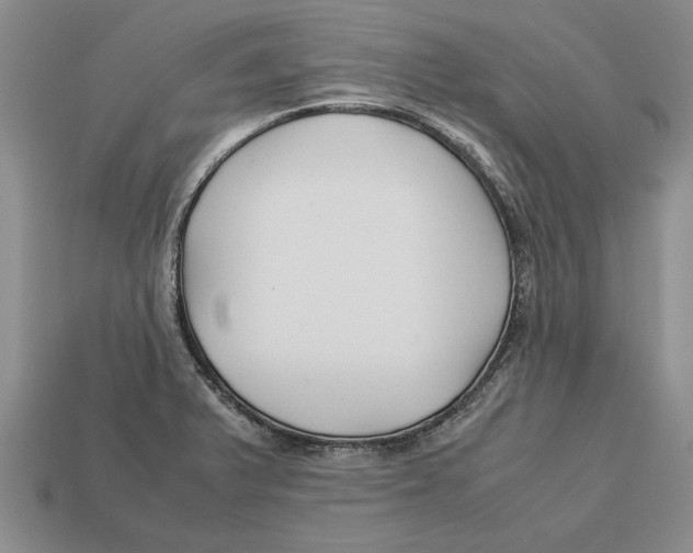 X0000113041375200909241425