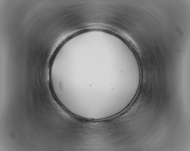 X0000113041376200909241425