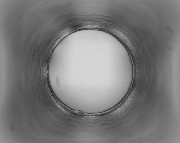 X0000113041377200909241425