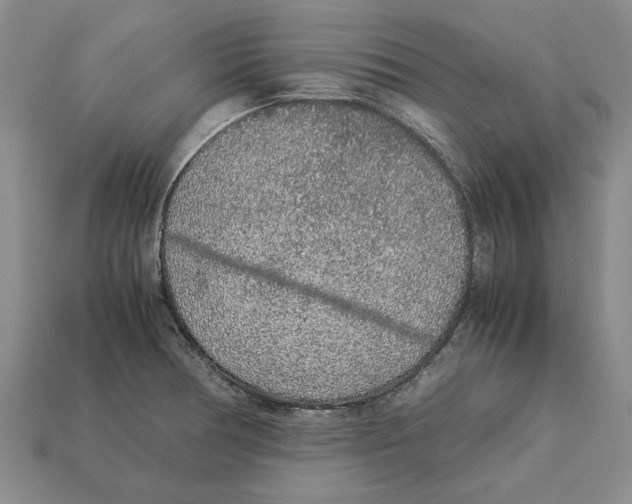 X0000113041378200909241425