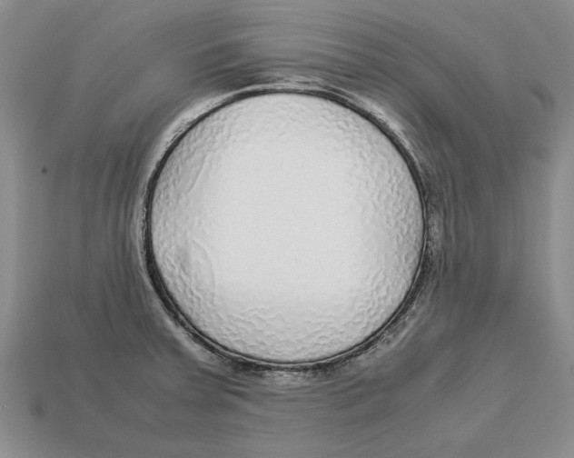 X0000113041379200909241425