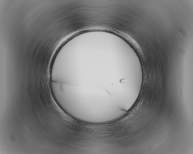X0000113041380200909241425