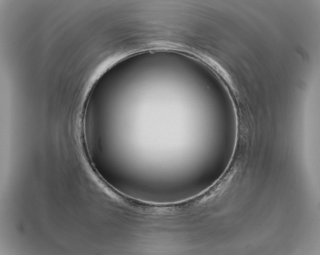 X0000113041381200909241425