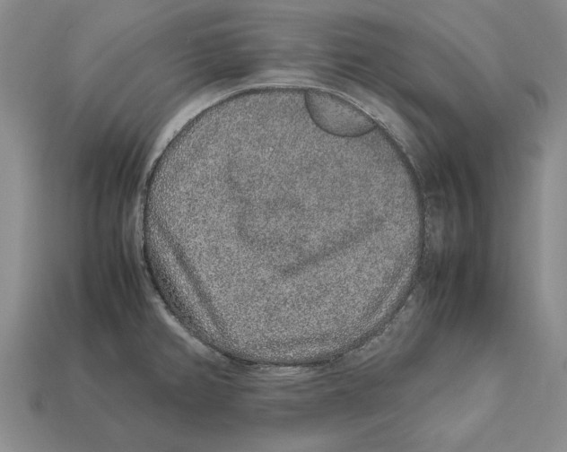 X0000113041382200909241425