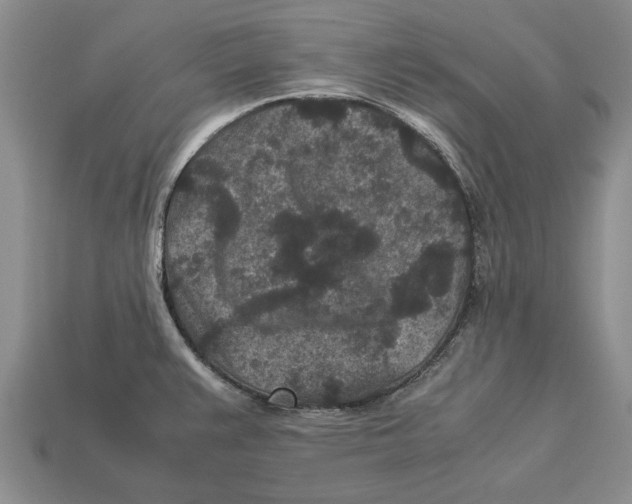 X0000113041383200909241425