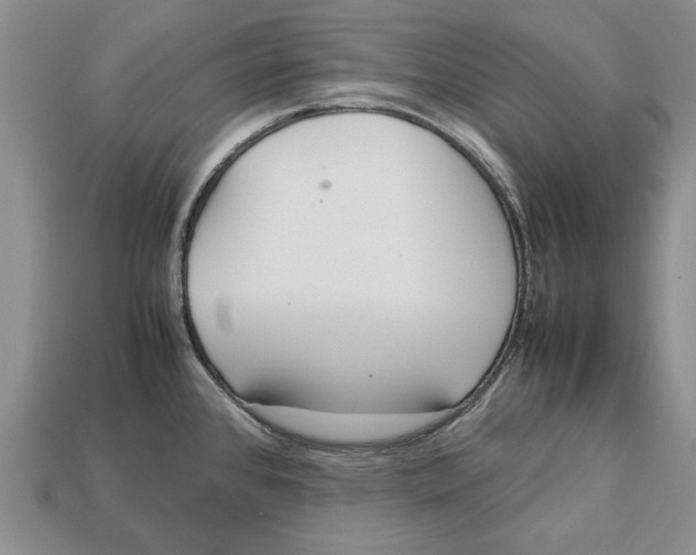 X0000113041384200909241425