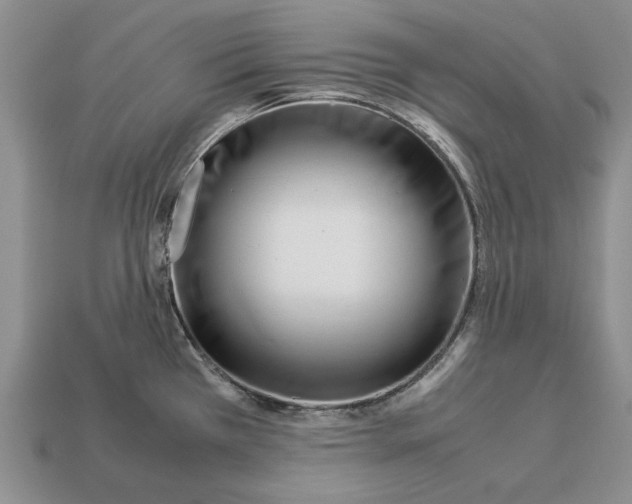 X0000113041385200909241425