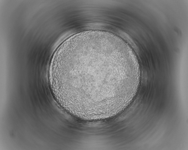 X0000113041386200909241425