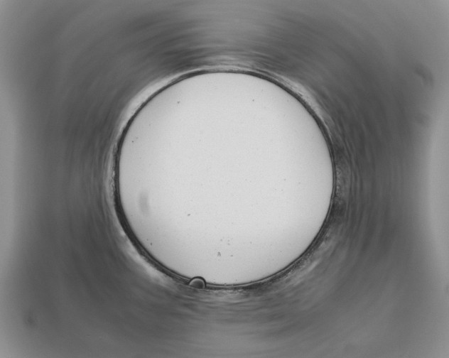 X0000113041387200909241425