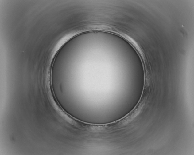 X0000113041389200909241425