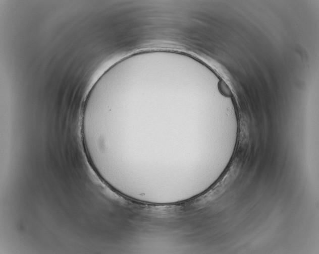 X0000113041390200909241425