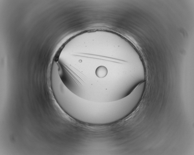 X0000113041392200909241425